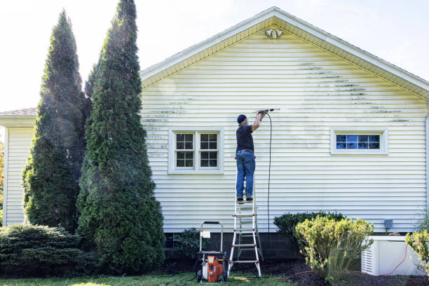Best Building Exterior Washing  in San Miguel, CA